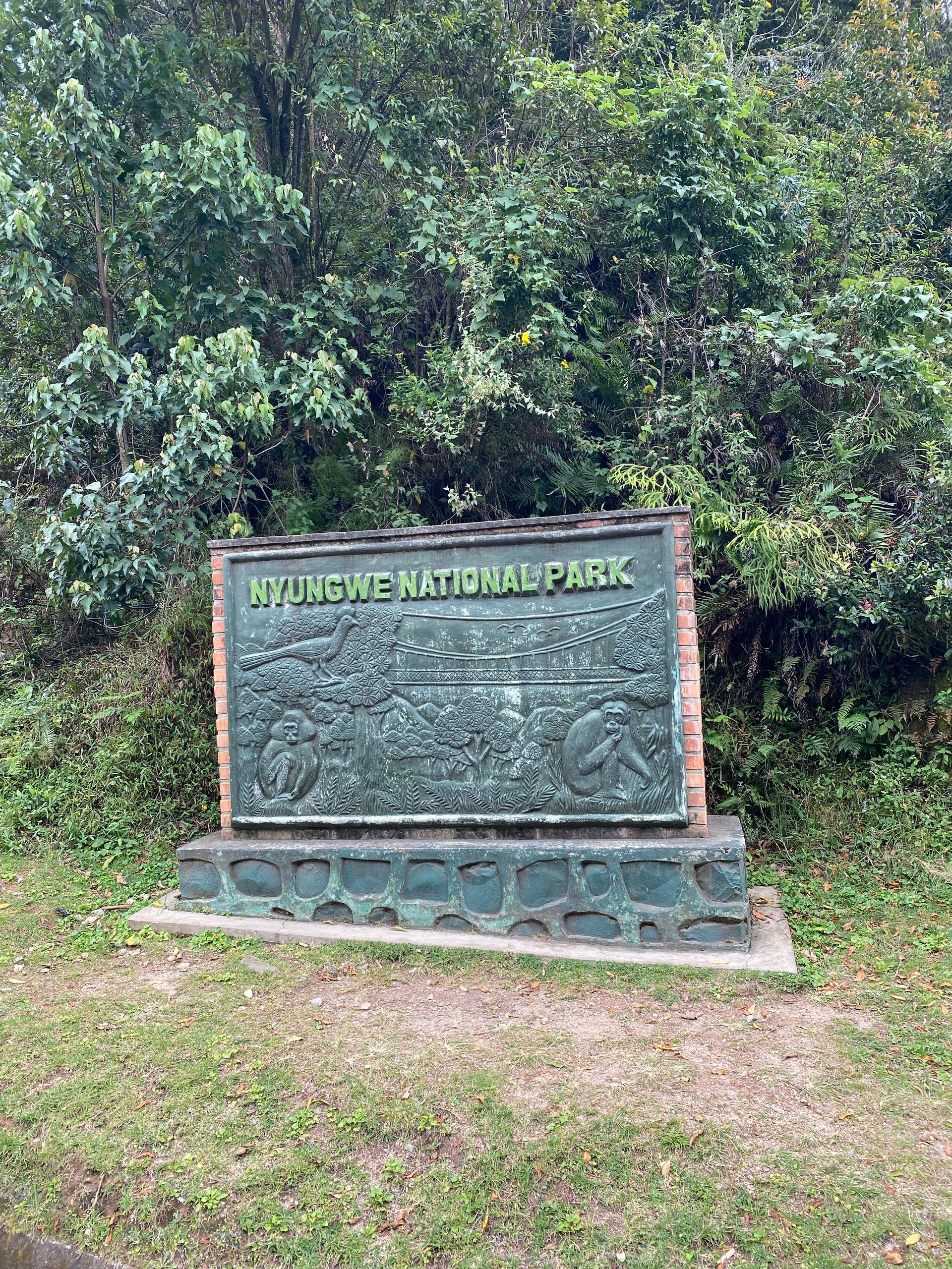 3-Day Ultimate Rwanda Adventure: Chimps, Canopy, Zipline & Kigali Image